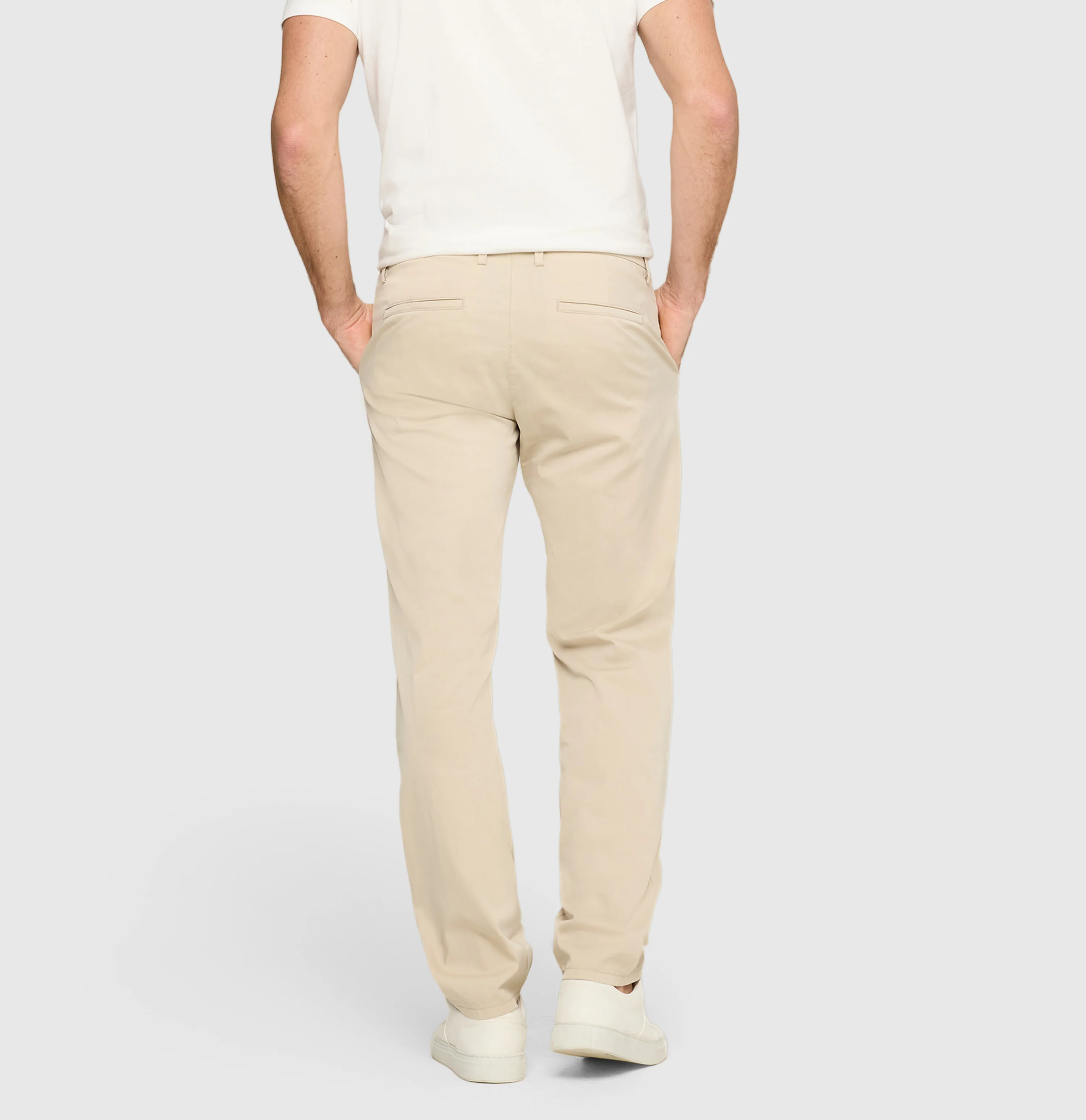 Pedro - Image 2
